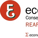 REAF-REGAF Consejo General Economistas